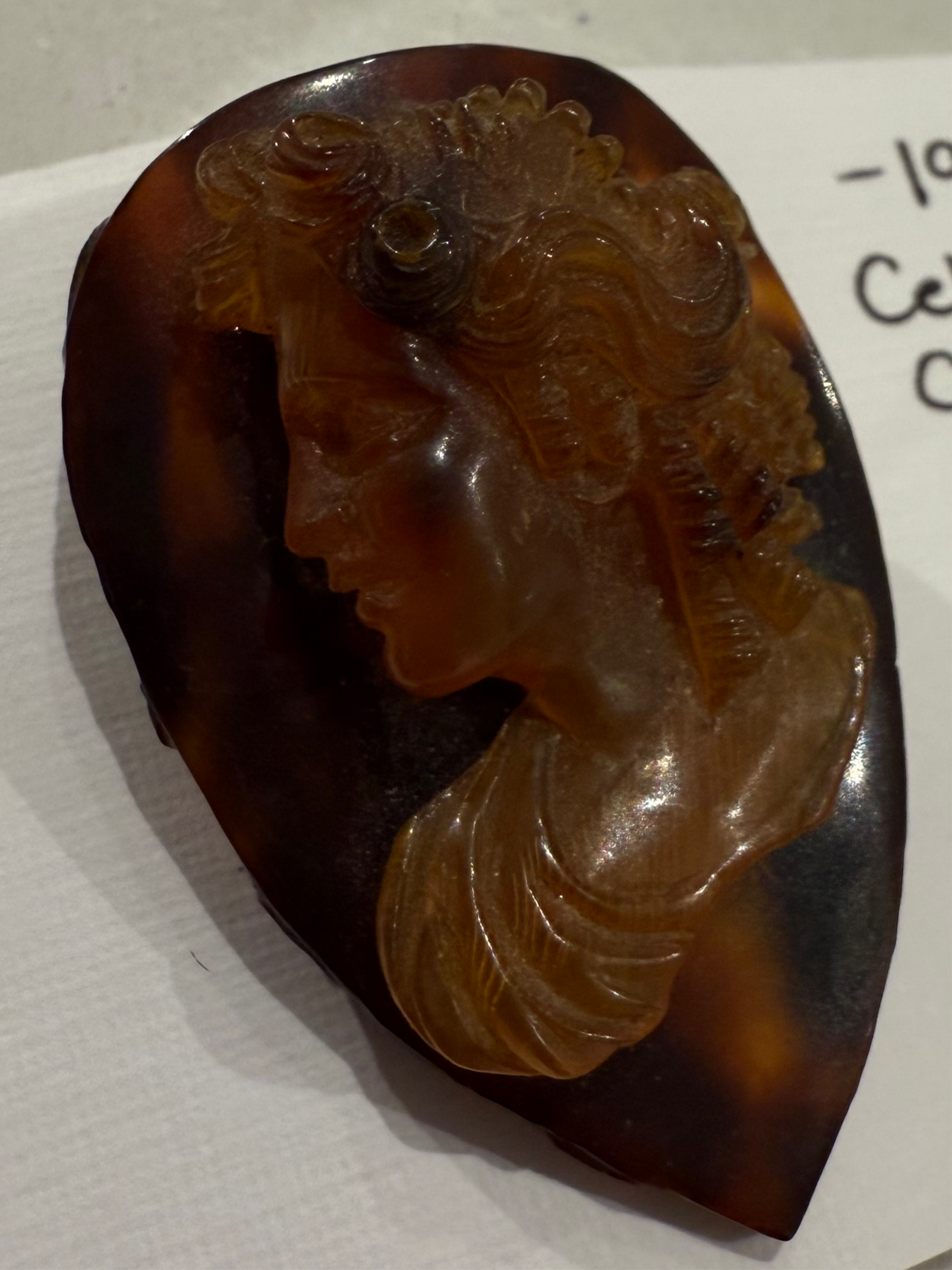1940s Celluloid Tortoiseshell Cameo Brooch